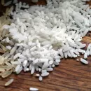 Алиме Зарединова: На сегодня 8 предприятий Республики Крым выразили готовность сеять рис