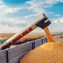 Крымские аграрии намолотили свыше 1,6 млн тонн зерновых и зернобобовых культур на 25 июля